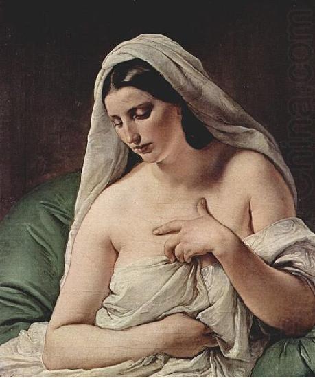 Francesco Hayez Odaliske china oil painting image